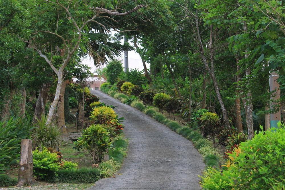 Aloha Hotel Nago Exterior foto